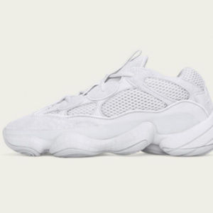 Yeezy Salt 500